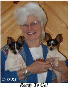 Champion Toy Fox Terriers Fannie Mae and Garbo